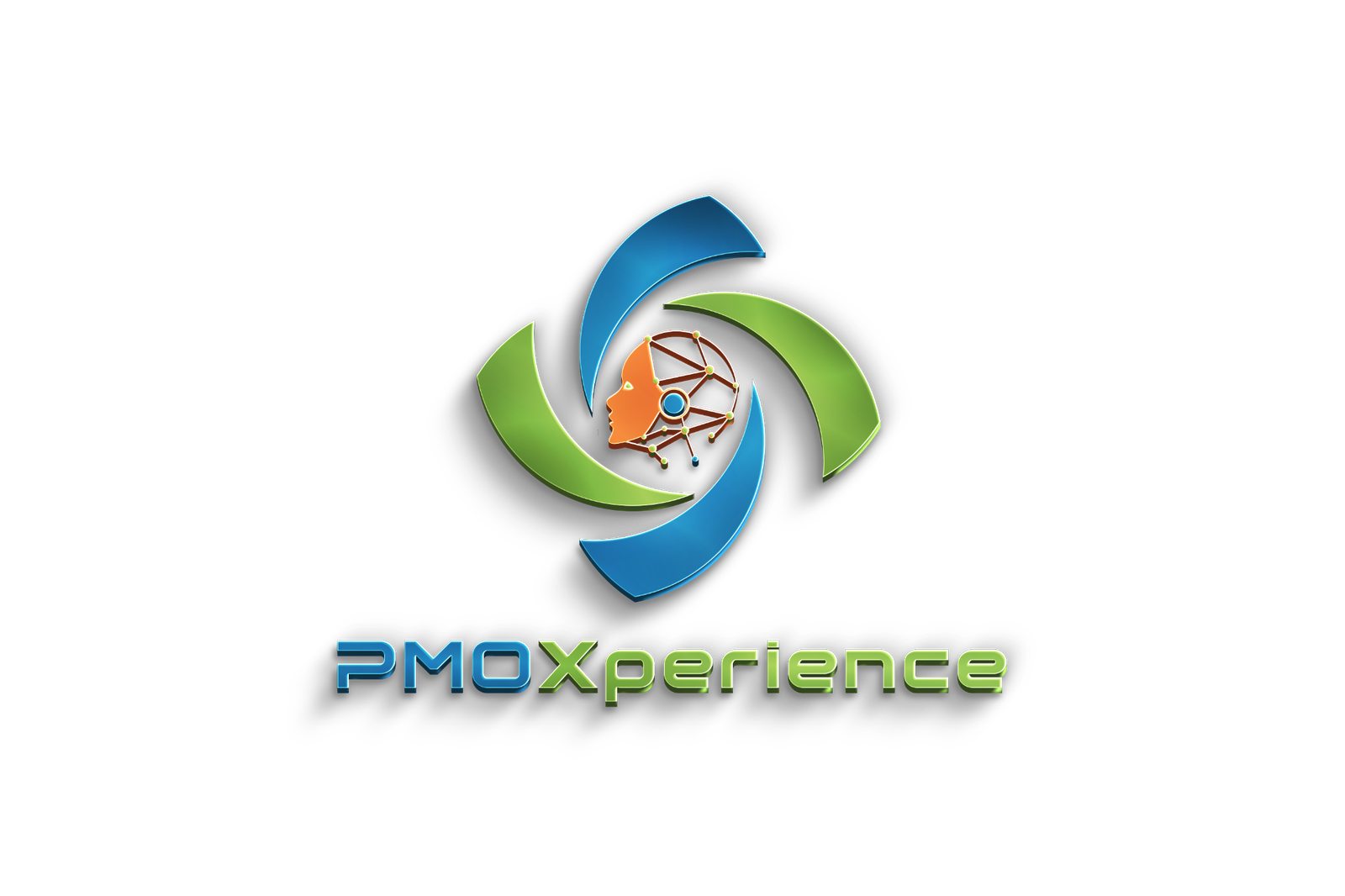 PMOXperience